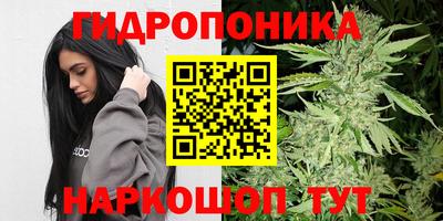 Альфа ПВП Кимры