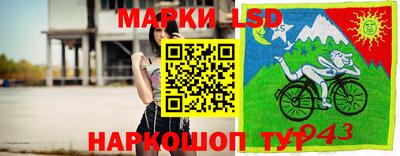 кокс Кандалакша