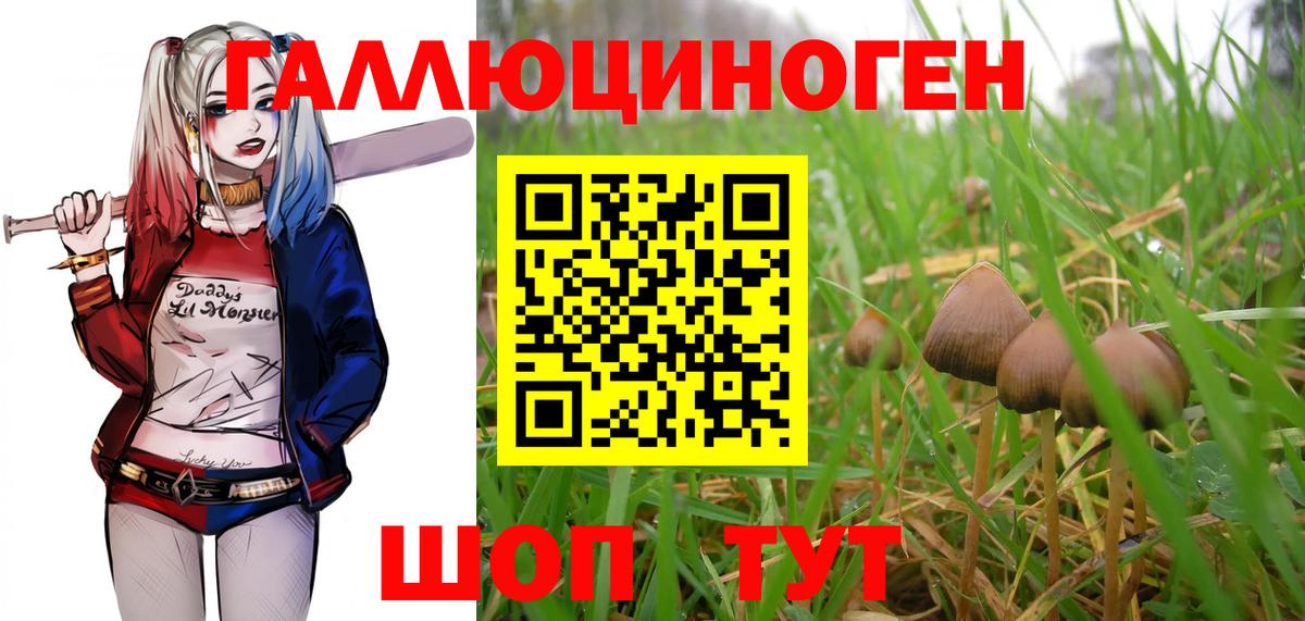 Кропоткин  Галлюциногенные грибы GOLDEN TEACHER  Вход с VPN 